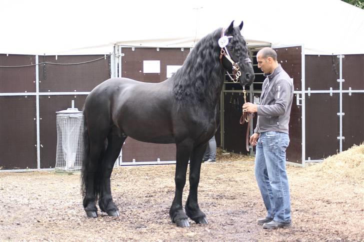 Frieser lou kars champion 2009 - klargøring billede 2