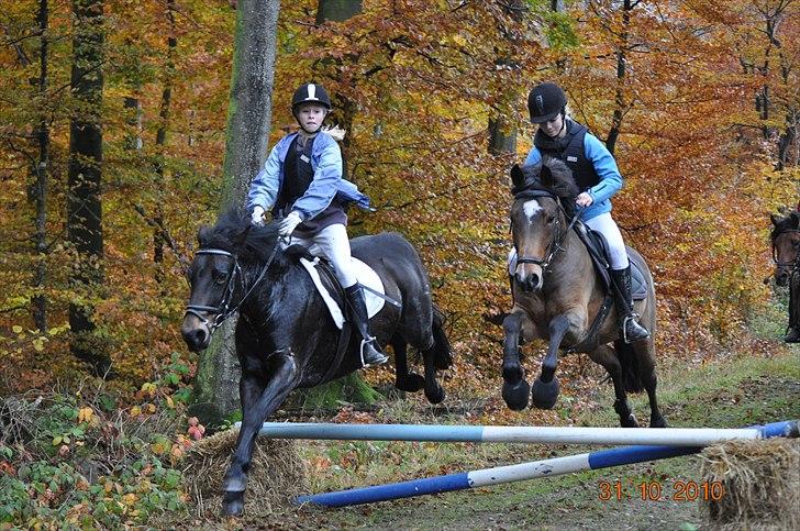 Anden særlig race Linus SOLGT :'( - Hubertusjagt 2010, mig og Linus og Birgit og Malou.  billede 6