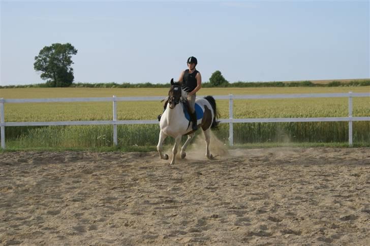 Anden særlig race  Thais'son *solgt* - Okay han er sku lidt noget andet end Reja haha billede 12