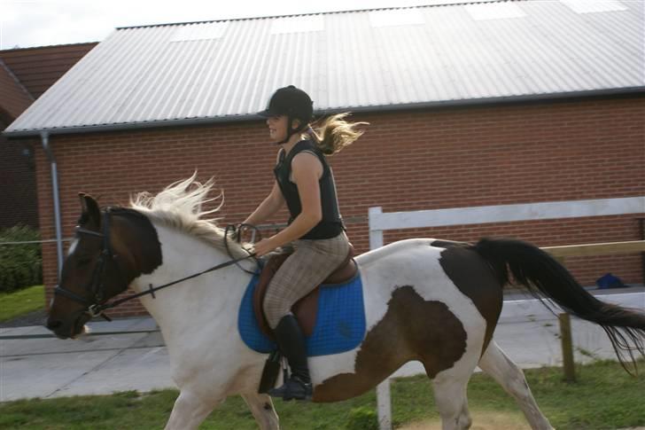 Anden særlig race  Thais'son *solgt* - 2 gang jeg galoper på ham . Styr lige diit hovde thais billede 13