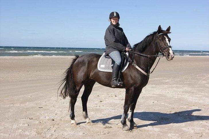 Dansk Varmblod Malue Åbo - 14. Malue og mig ved Vesterhavet.. Første strandtur :) Super dag! Fotograf: Lone billede 14