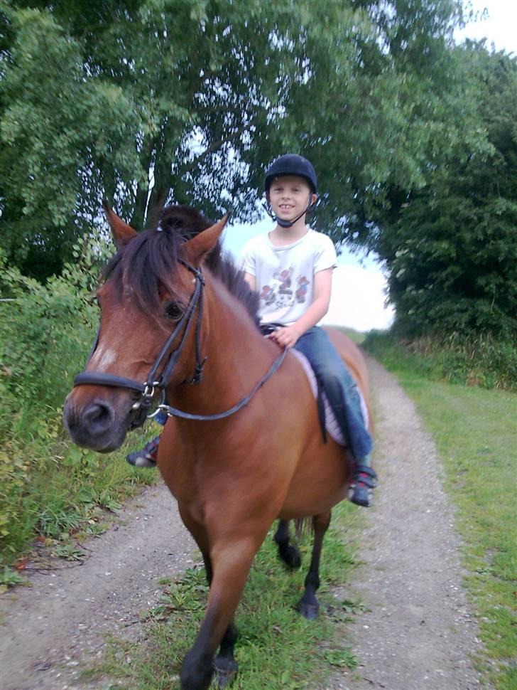 DSP Jumpy - juli 2009.  billede 7