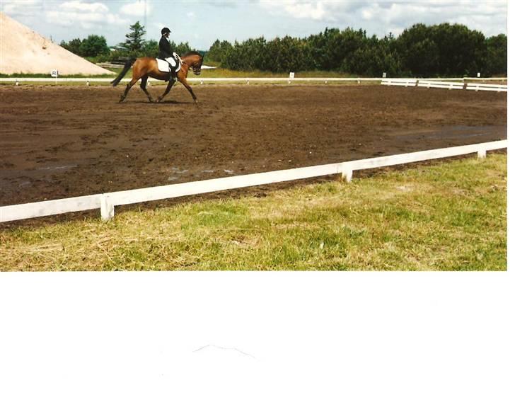 DSP Jumpy - 1994. distriktstævne billede 9