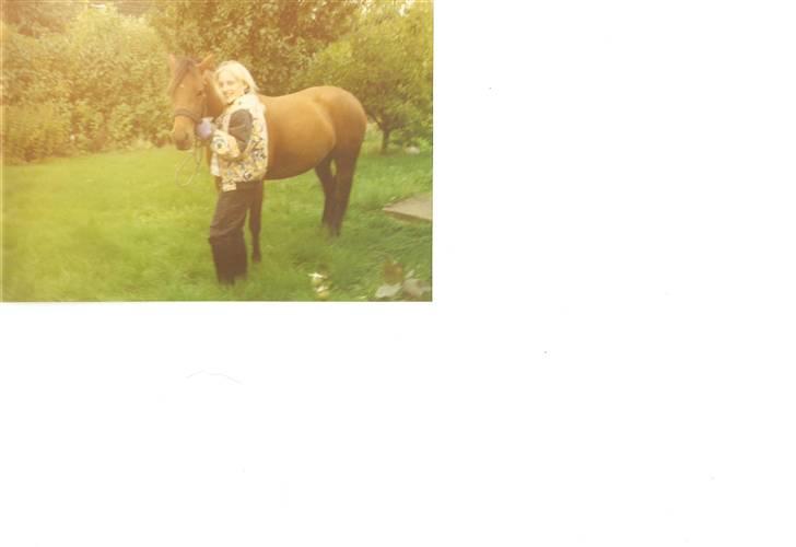 DSP Jumpy - 1992. billede 10