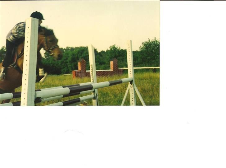 DSP Jumpy billede 11