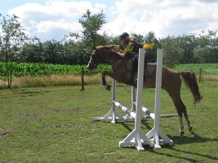 DSP Ziwago - SOLGT billede 12