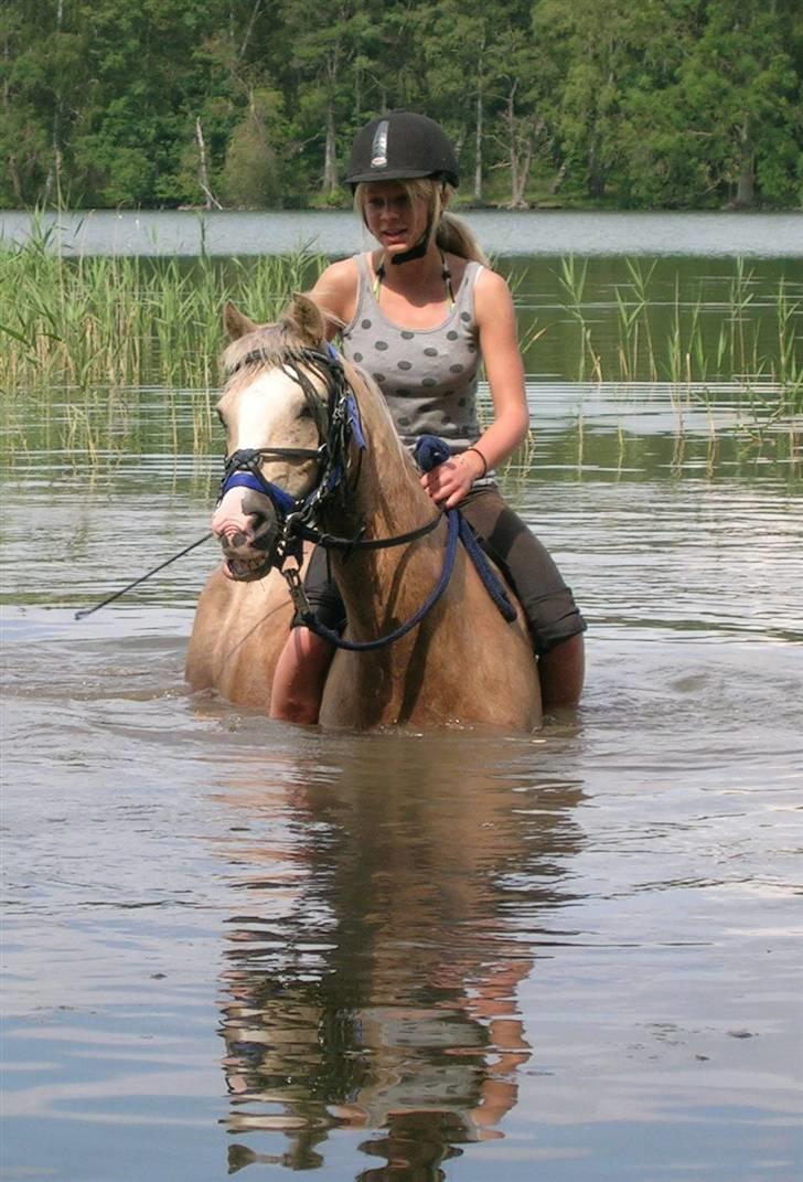 Irsk Sportspony Triple Gold(:  - Ude at svømme :D NYT 14 juli Foto: Gitte ;b billede 13