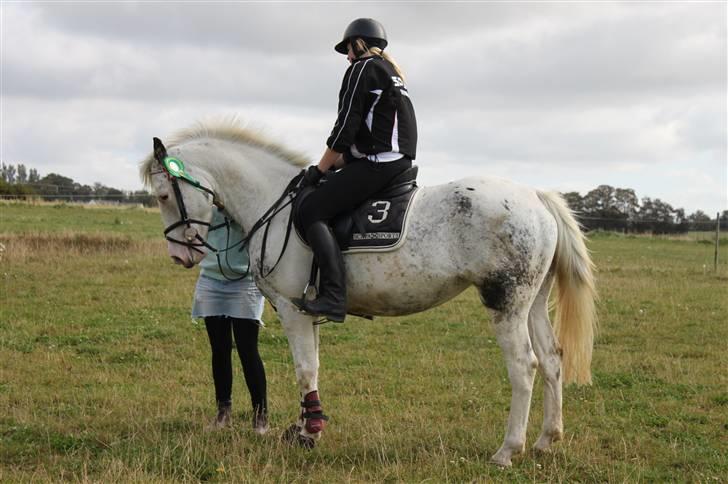 Anden særlig race Karpaccio *Byttet* billede 3