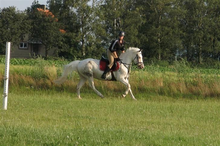 Anden særlig race Karpaccio *Byttet* billede 4