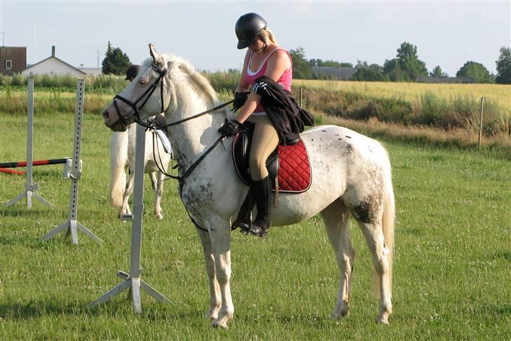 Anden særlig race Karpaccio *Byttet* billede 7