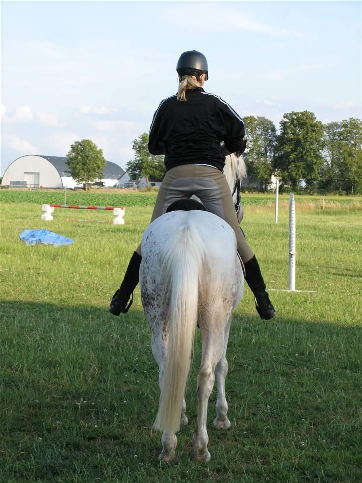 Anden særlig race Karpaccio *Byttet* - ´´ når enden er god, er alting godt,, :D billede 8