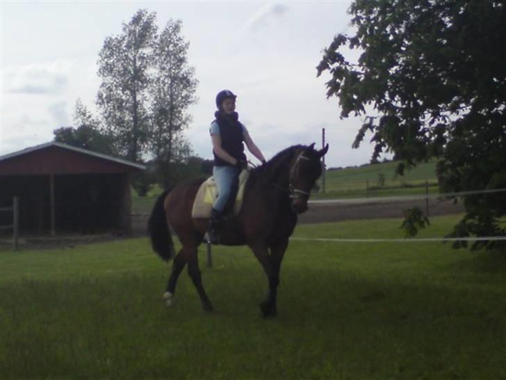 Dansk Varmblod May Spirit - Mig og spirit :D taget af Lene billede 20