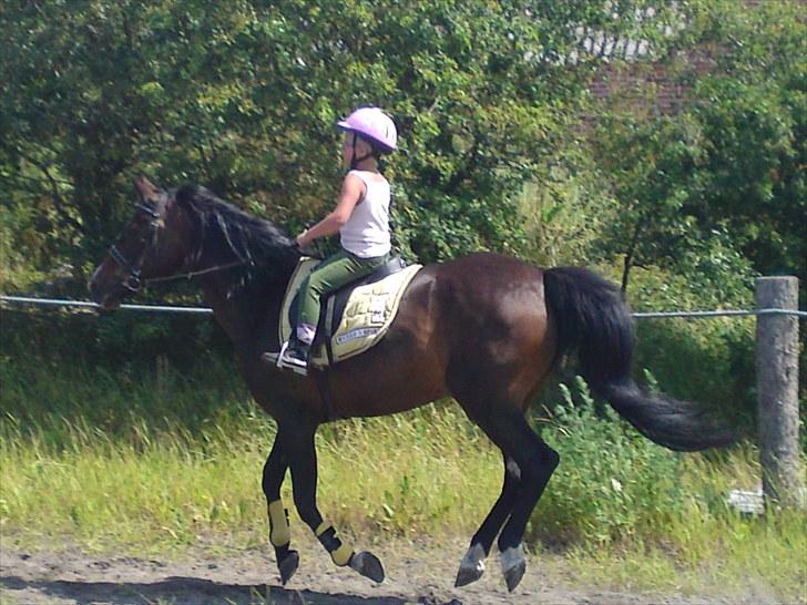 Anden særlig race Moveos Cassiopeia billede 4