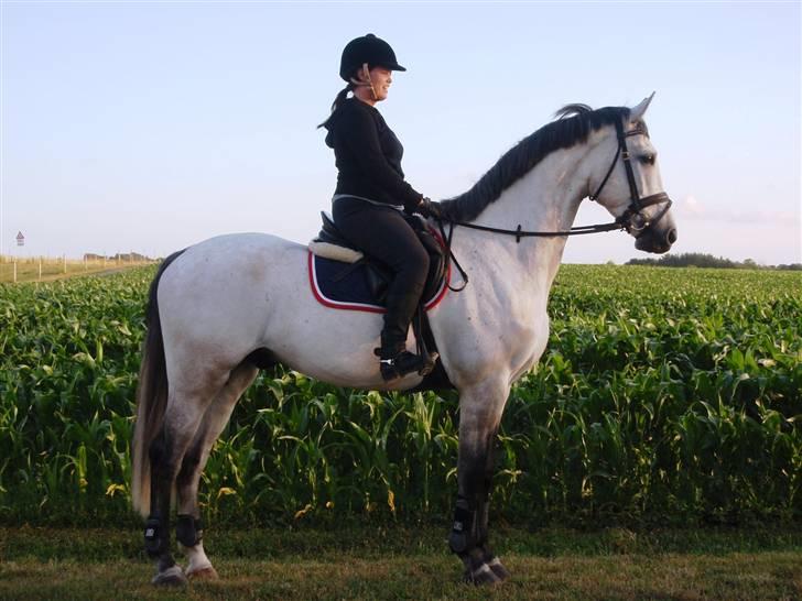 Holstener Capacity Cashmore - solgt billede 1