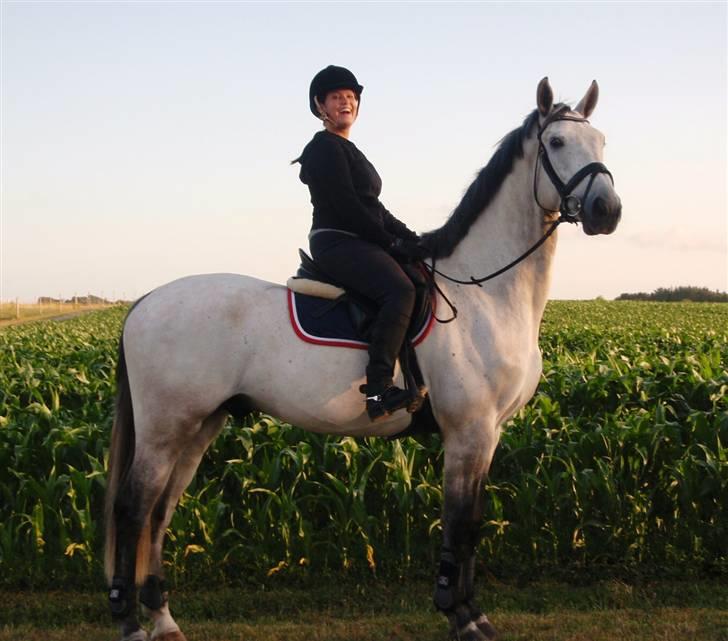 Holstener Capacity Cashmore - solgt billede 18