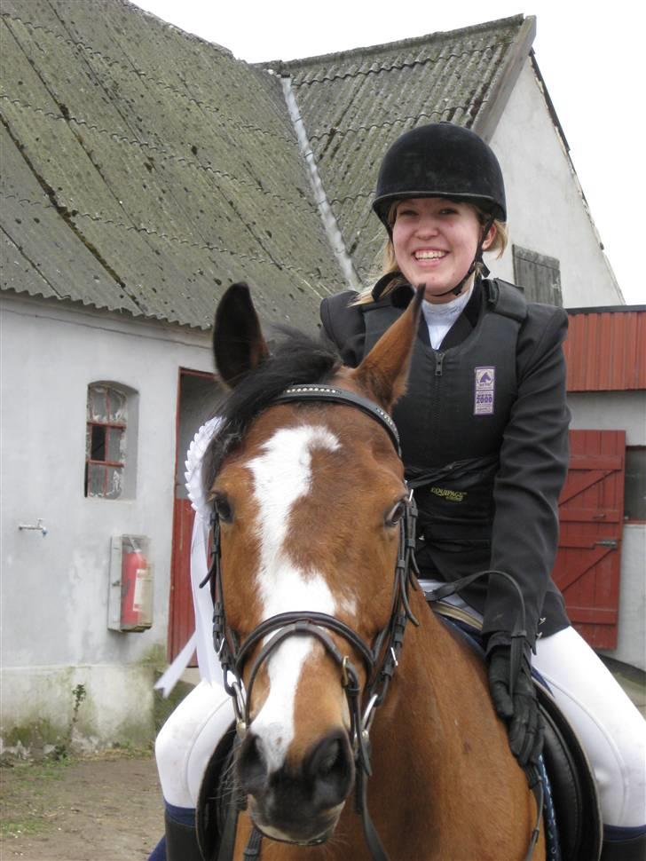 Anden særlig race Robin. (Tidl. part) - FIne, fine Robin... billede 3