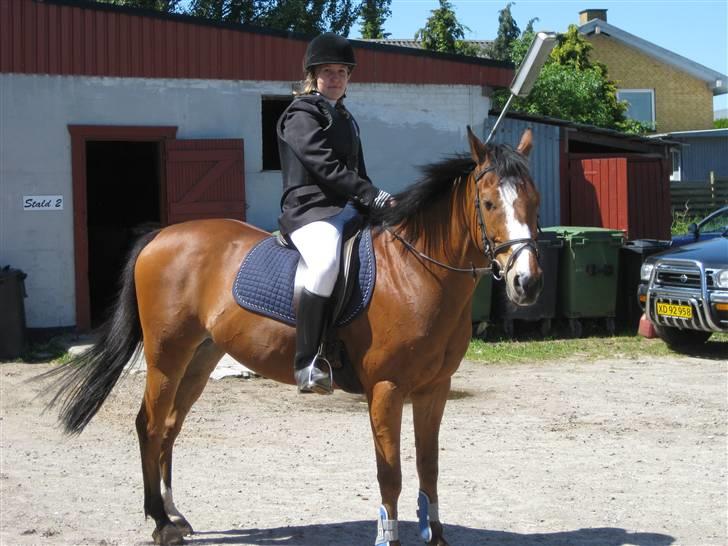 Anden særlig race Robin. (Tidl. part) - Efter stævnet... billede 4