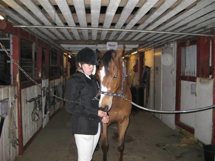 Anden særlig race Robin. (Tidl. part) - I stalden igen... billede 5