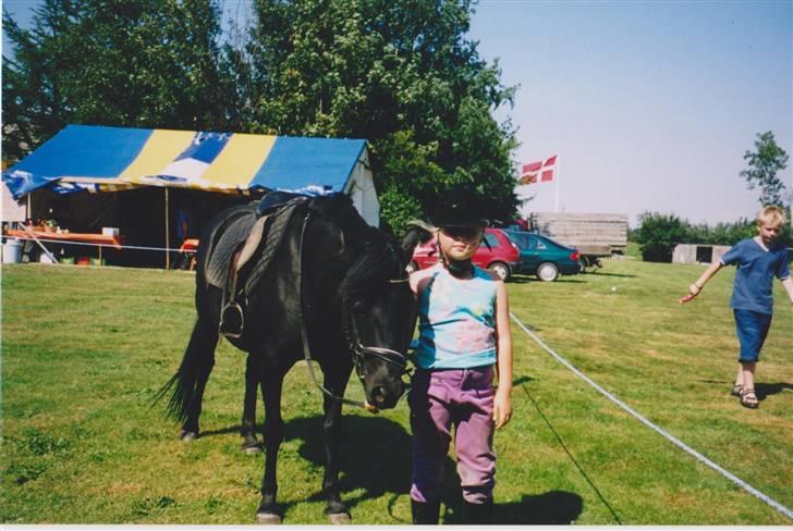 Anden særlig race Tamara - Min soulmate ;* - 18: Til ringridning i Mjolden<3 billede 17