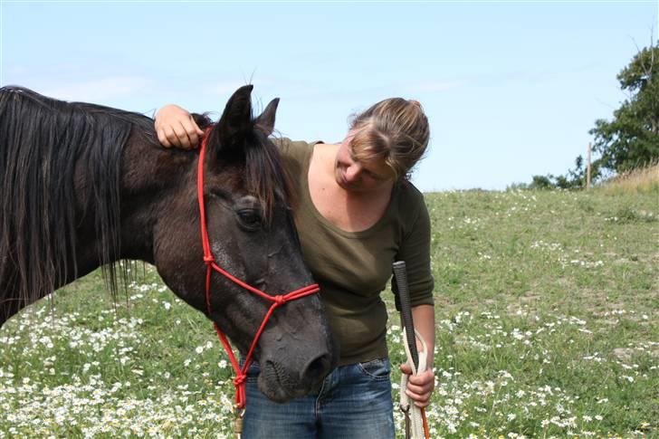Anden særlig race Beauty R.I.P - Foto:Signe Bendsen - Beauty og jeg billede 14