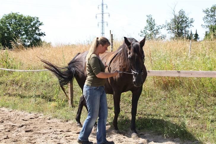 Anden særlig race Beauty R.I.P - Foto:Signe Bendsen - Beauty i en versade fra jorden billede 15