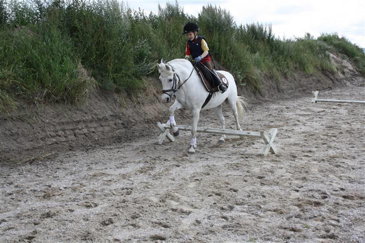 Anden særlig race Cindy (min lillebrors) billede 11