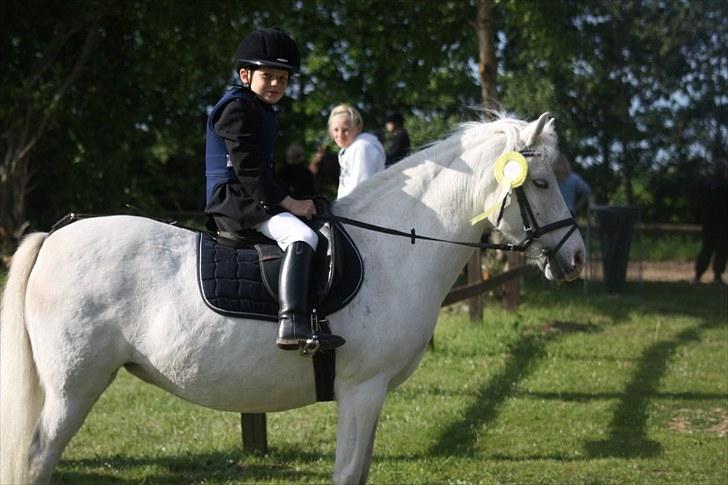 Anden særlig race Cindy (min lillebrors) billede 12