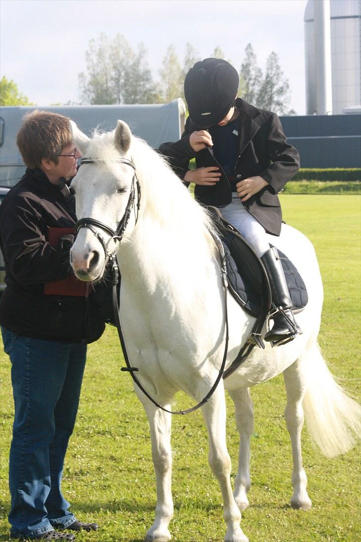 Anden særlig race Cindy (min lillebrors) billede 13