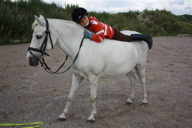 Anden særlig race Cindy (min lillebrors) billede 14