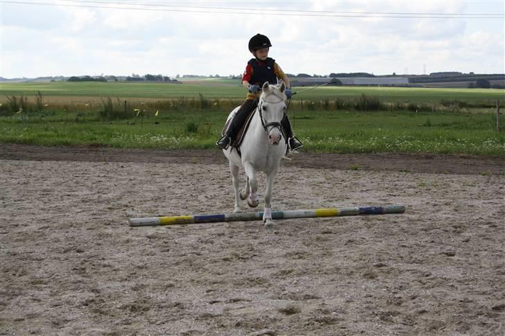 Anden særlig race Cindy (min lillebrors) billede 17