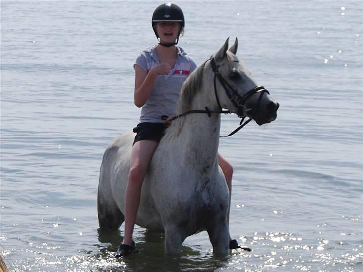 Anden særlig race Ariel - Ariel der endelig kom i vandet din lillebøllepoy billede 14