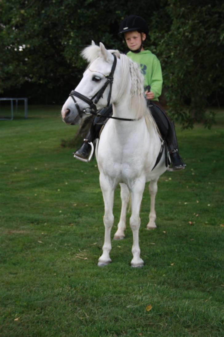 Anden særlig race Cindy (min lillebrors) billede 19