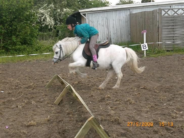 Shetlænder Polle [ Død :( ] - mig og polle   ( camilla fra min klassse tag billede da vi springer billede 6