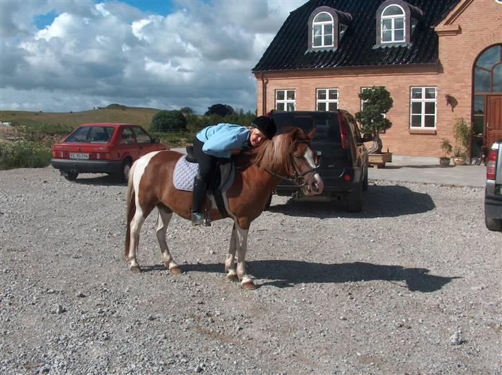 Pinto sweety MINBEDSTEVEN - 7.  Elsker dig sweety<33 billede 7