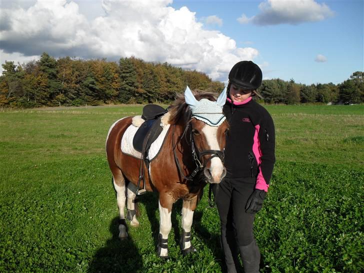 Pinto sweety MINBEDSTEVEN - 9.  hygge<3 billede 9