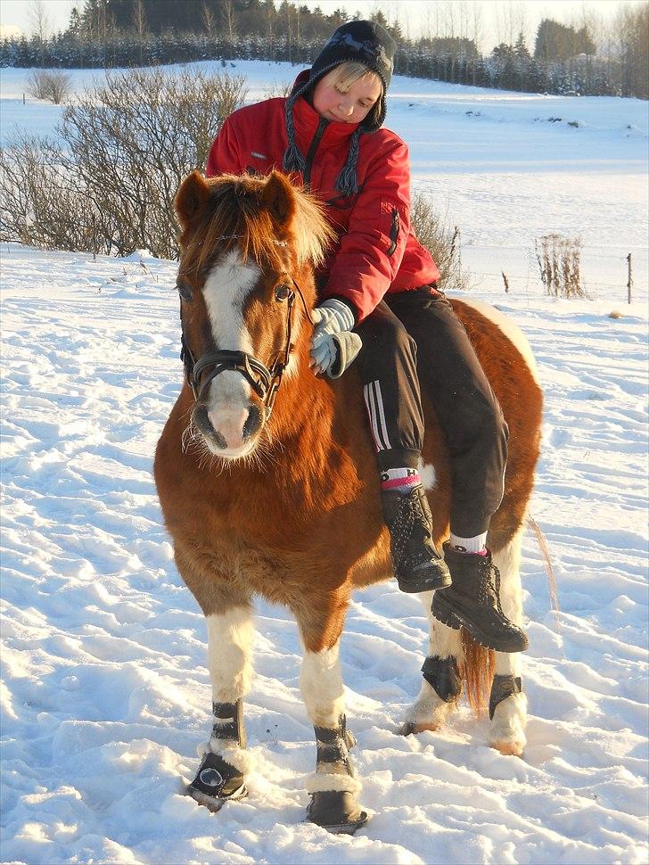 Pinto sweety MINBEDSTEVEN - 10.  Fordi jeg stoler 100% på ham:*<3 billede 10