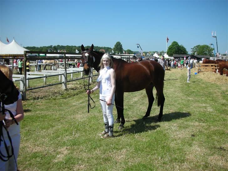 Norsk Sportspony Jessie Z   R.I.P. <3 billede 7