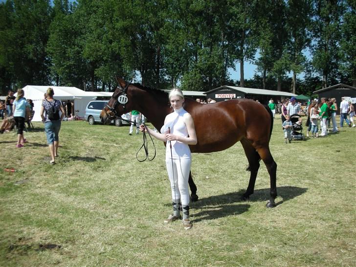 Norsk Sportspony Jessie Z   R.I.P. <3 billede 10