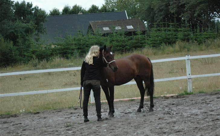 Anden særlig race Twiggy  billede 1