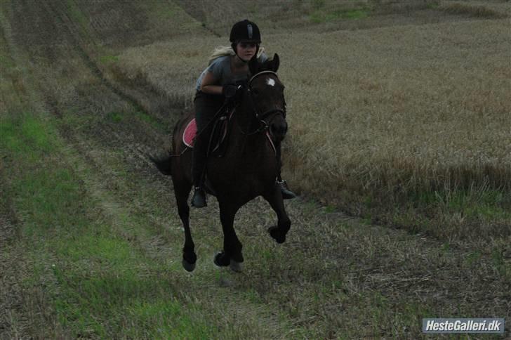 Anden særlig race Twiggy  billede 7