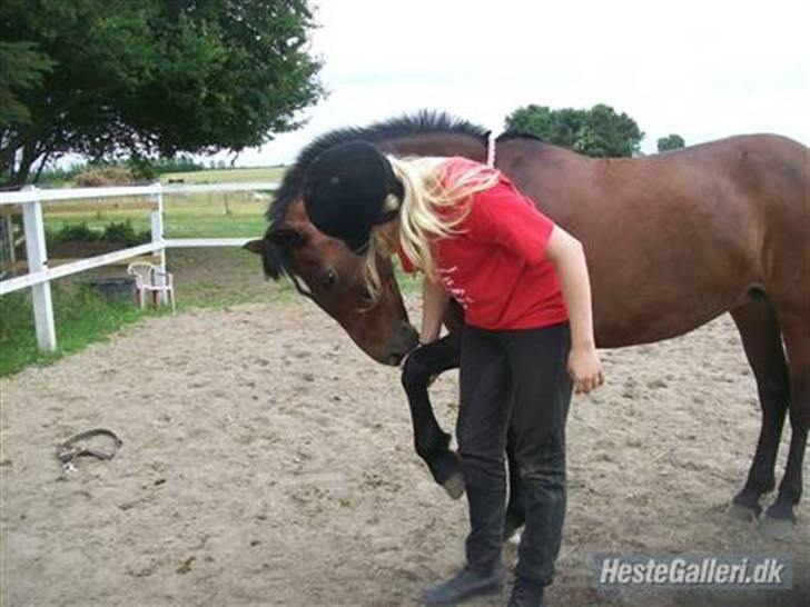 Anden særlig race Twiggy  billede 13