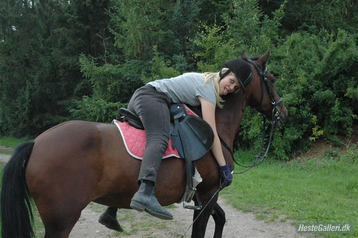 Anden særlig race Twiggy  billede 14