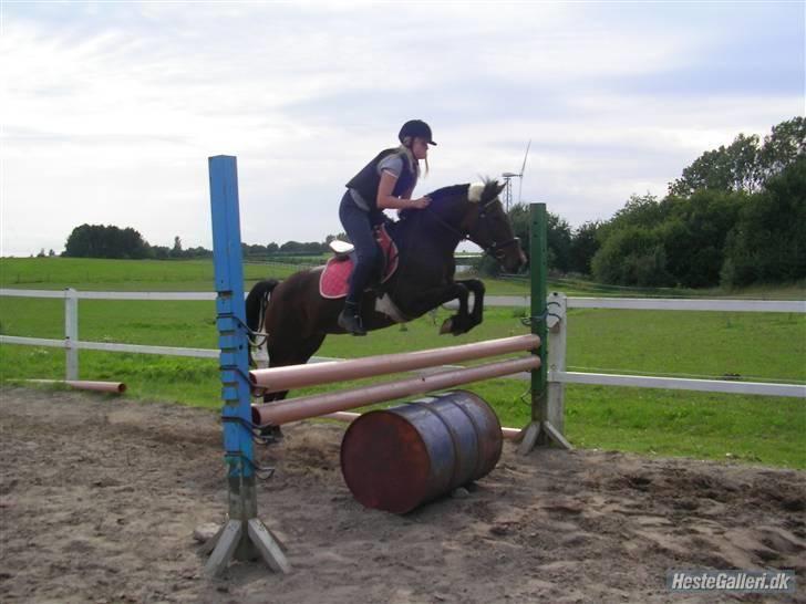 Anden særlig race Twiggy  billede 15