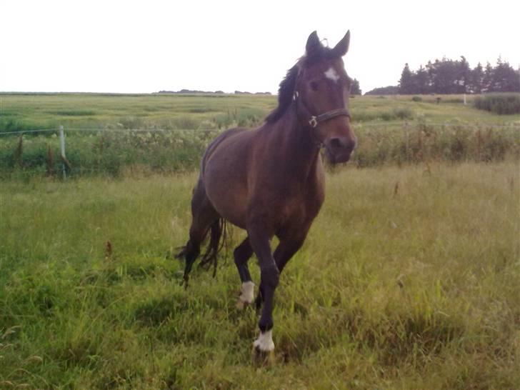 Traver Gucci <3 [SOLGT:'(] billede 4