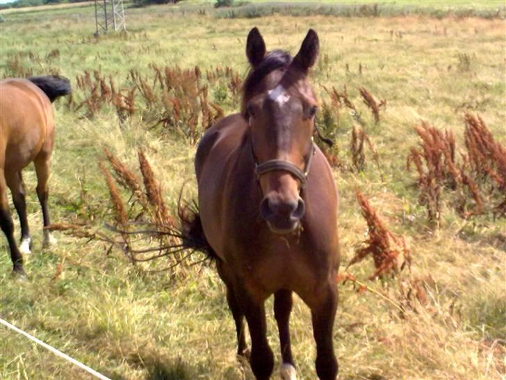 Traver Gucci <3 [SOLGT:'(] billede 5