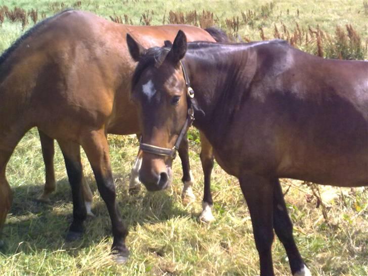 Traver Gucci <3 [SOLGT:'(] billede 6