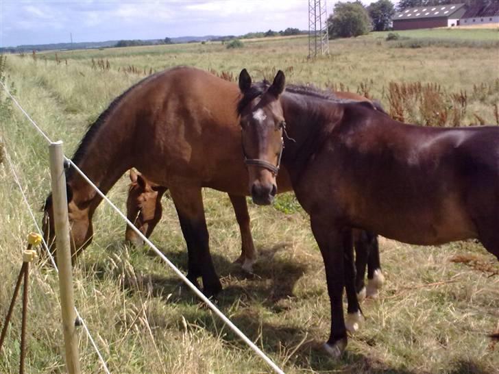 Traver Gucci <3 [SOLGT:'(] billede 7