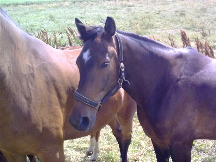 Traver Gucci <3 [SOLGT:'(] billede 8