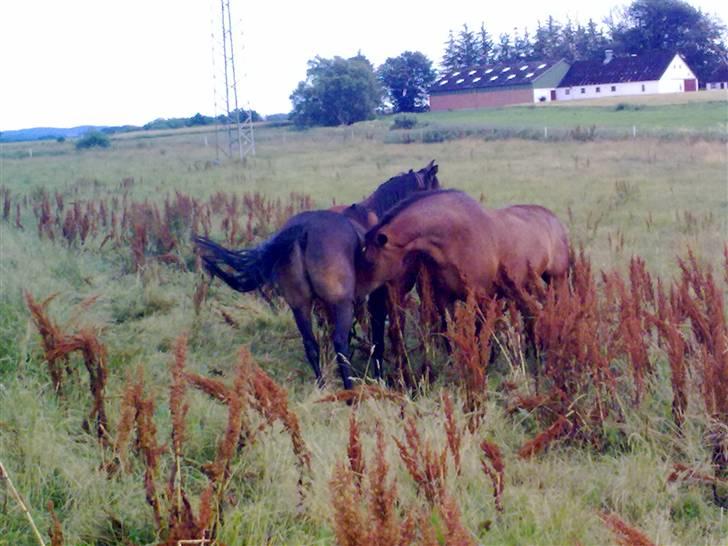 Traver Gucci <3 [SOLGT:'(] billede 9