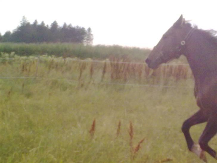 Traver Gucci <3 [SOLGT:'(] billede 11